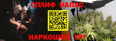 spice Тула