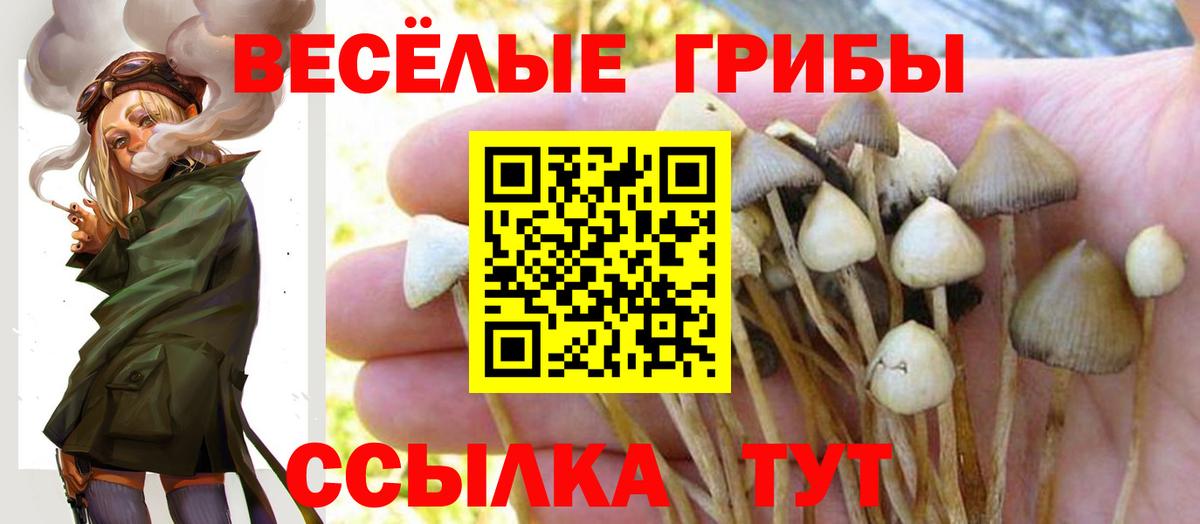 Псилоцибиновые грибы прущие грибы Богородицк